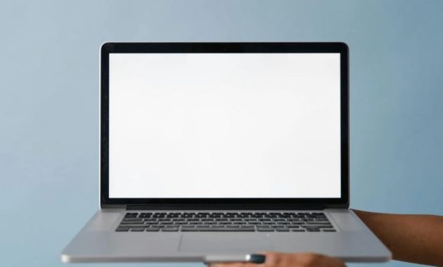 Rekomendasi Template Premium WordPress 